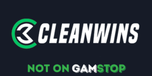 cleanwins_logo